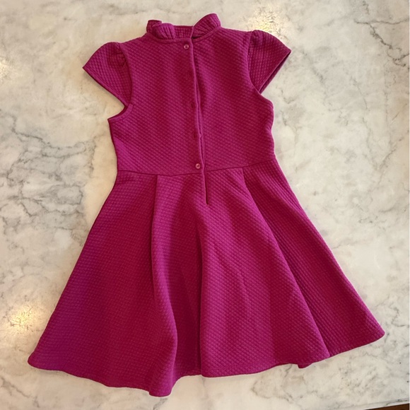 Janie and Jack Pink Fit and Flare Dress with Peter Pan Collar - Picture 4 of 4